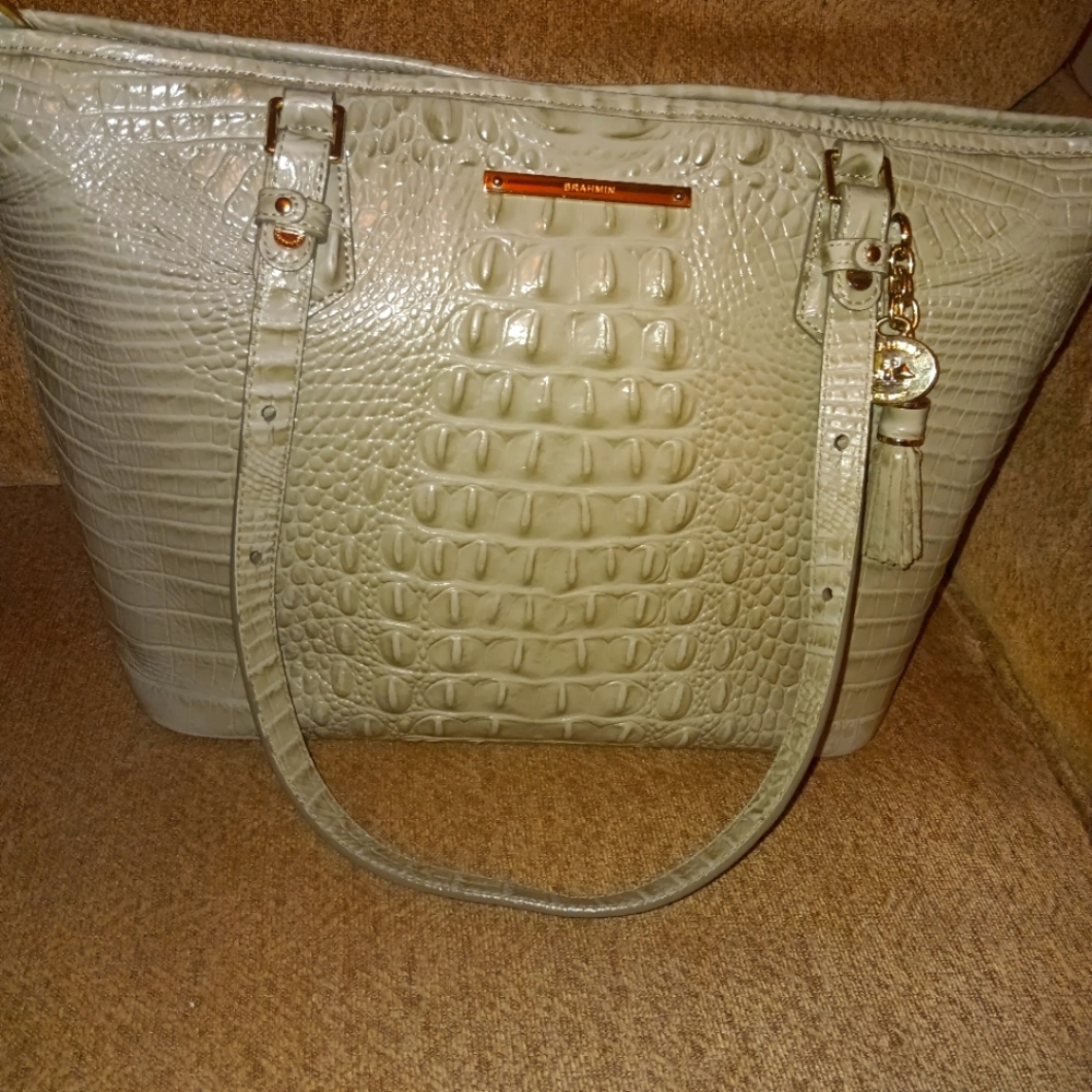 Brahmin Asher Tote in Silver Sage color